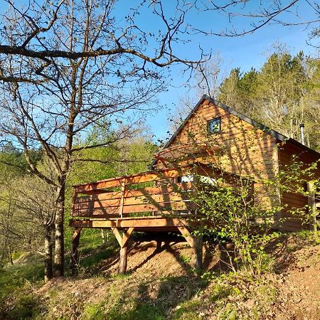 Mon chalet au cœur des Cévennes Vebron Extérieur photo