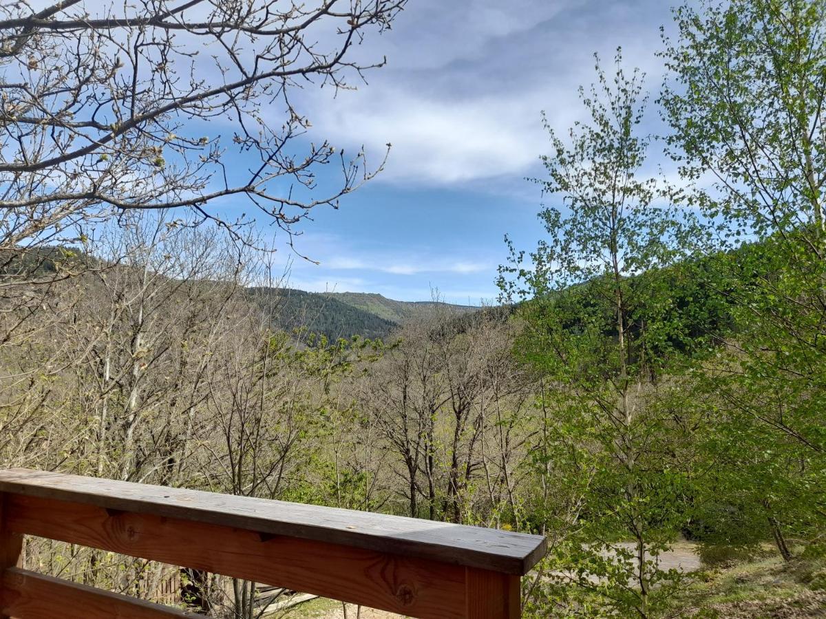 Mon chalet au cœur des Cévennes Vebron Extérieur photo