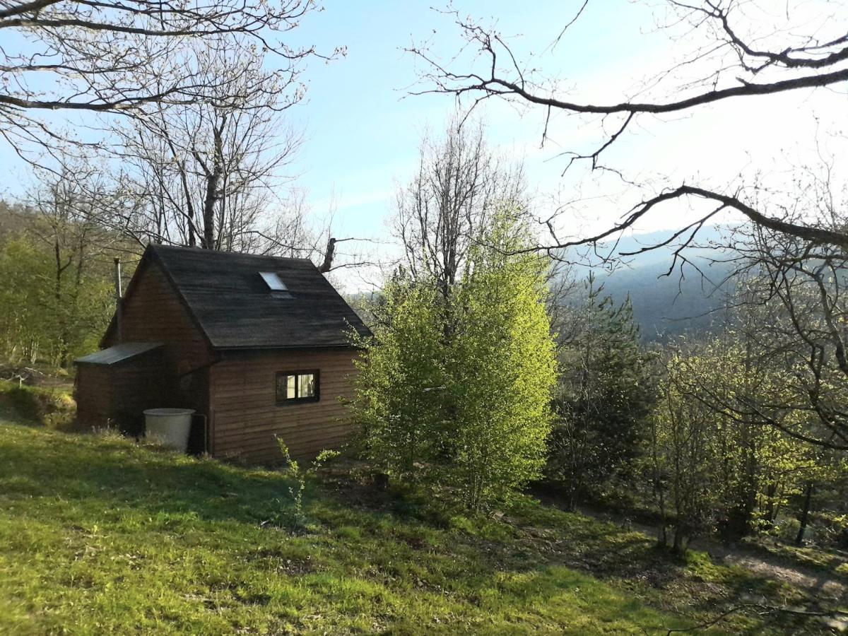 Mon chalet au cœur des Cévennes Vebron Extérieur photo